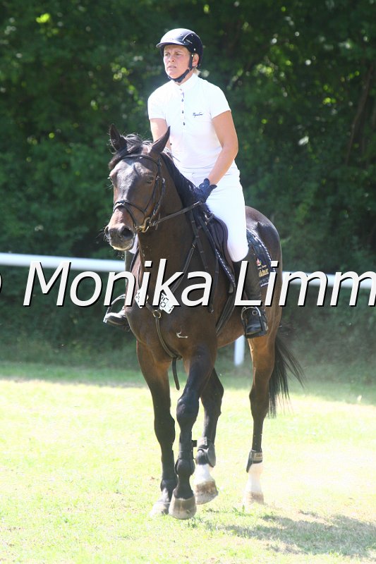 308M3454_FTS Livius_Spring_Sx.JPG